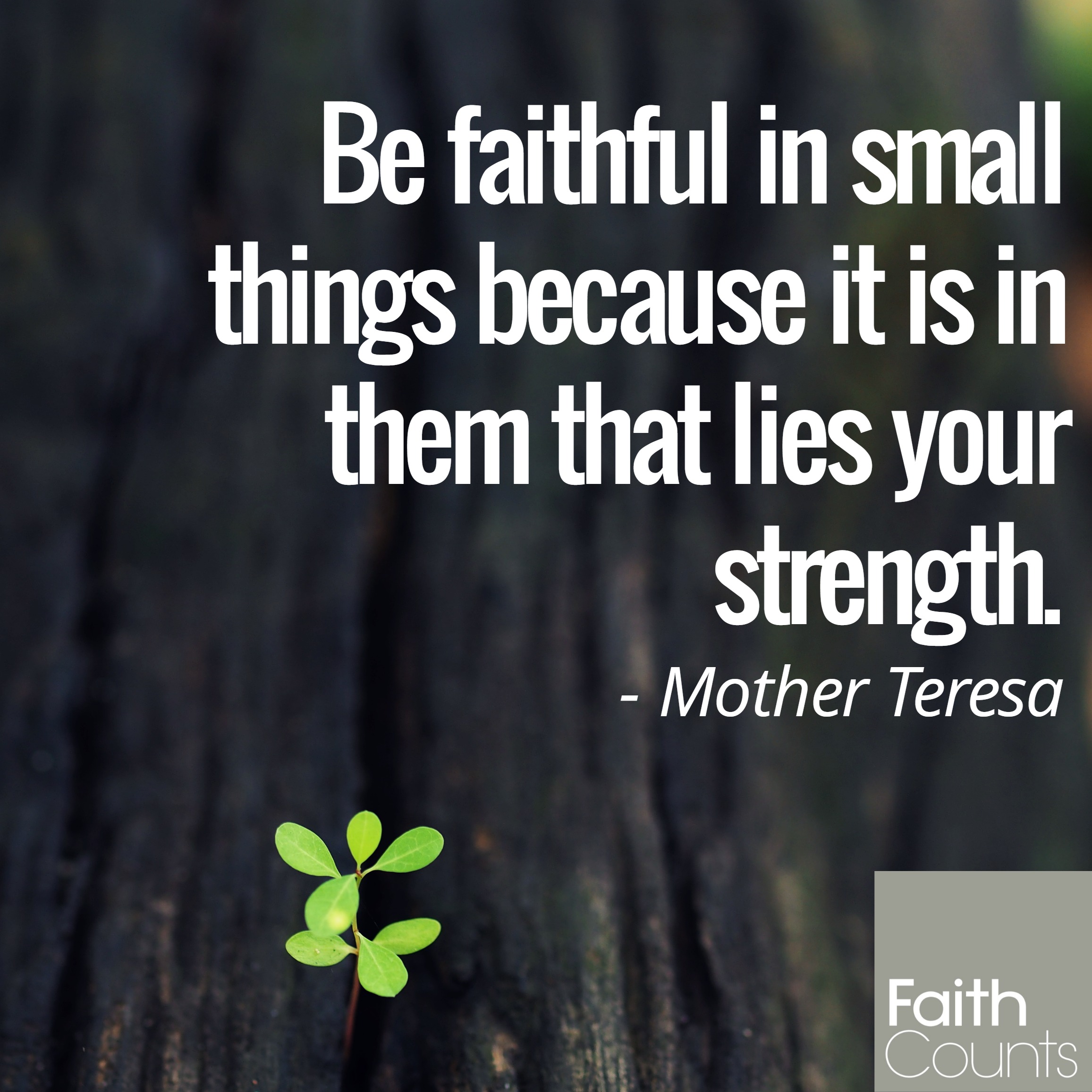 be-faithful-in-small-things