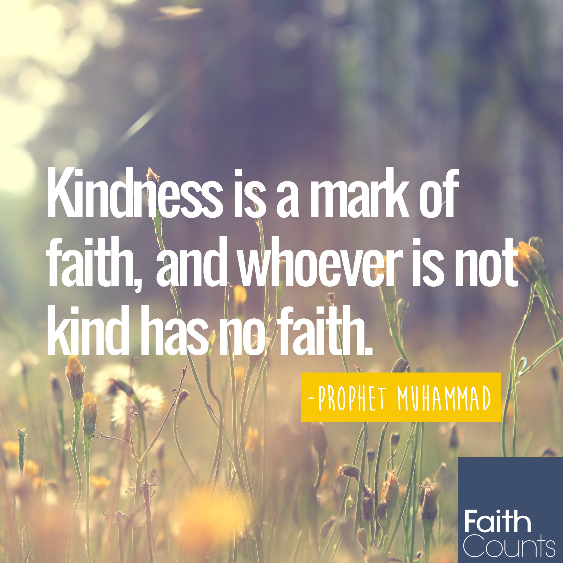 kindess-is-a-mark-of-faith-and-whoever-is-not-kind-has-no-faith